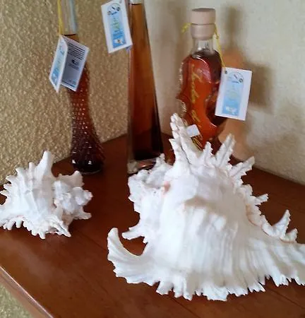 Ξενοδοχείο Corallo Pomonte