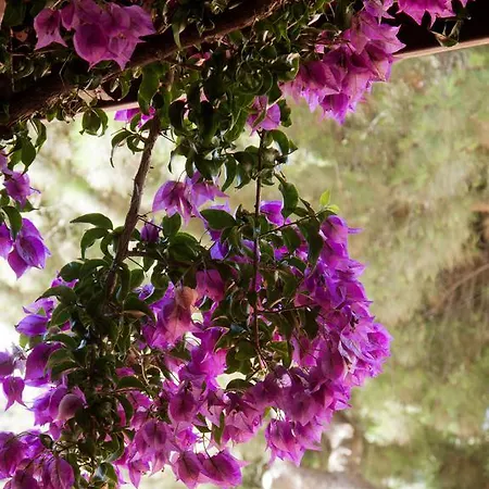 Corallo Szálloda 3*